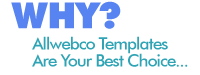 Why Allwebco is your best choice for building a website