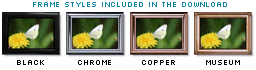Gallery Web Template With Built-In Watermarks