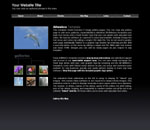 C07Studio: Photo gallery website template
