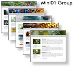 Mini Site Templates