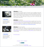 View mini site web template