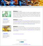 View mini site Mp3 web template