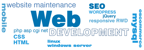 Hiring a Website Developer