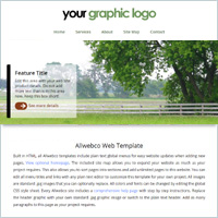 Freestyle: Business template design