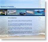 Client website template sample