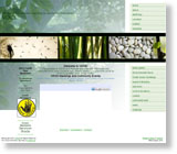 Client website template sample