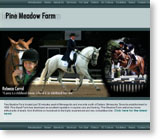 Client website template sample